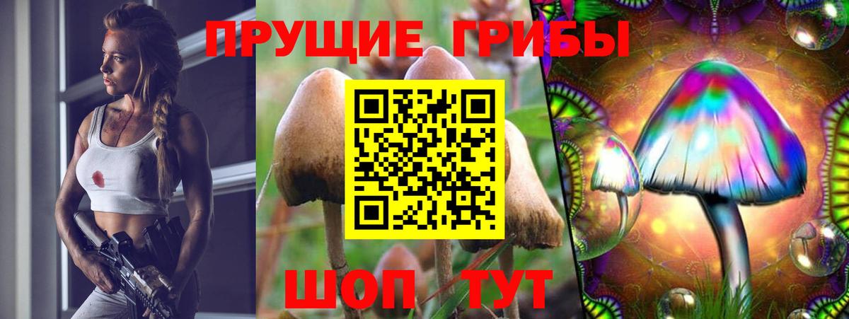 Галлюциногенные грибы Cubensis  Вход с VPN  Новомосковск 